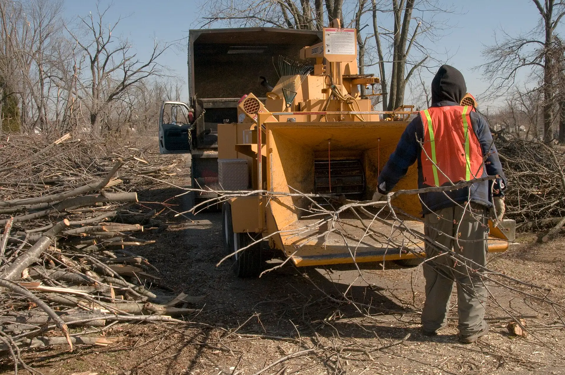 Worker in safety vest feeding branches into a wood chipper